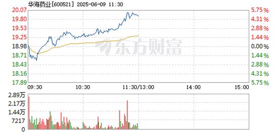 600521價(jià)格、行情、走勢(shì)圖，600521華海藥業(yè)股吧
